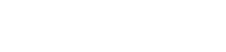flavia rita logo